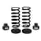 Arnott Coil Spring Conversion Kit, C-2896 C-2896 - alternate 1